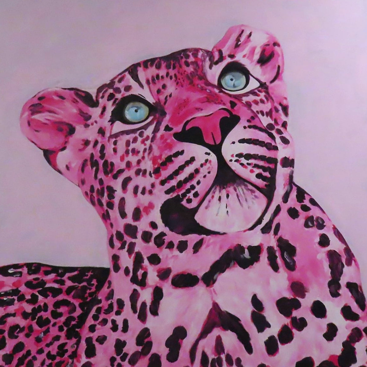 Looking Pink (Original)